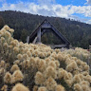 Meet your Posher, Eliahna